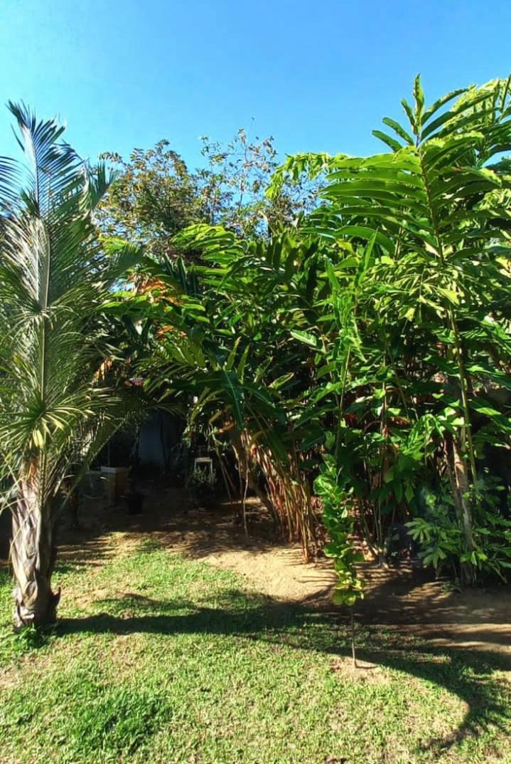 Recanto Taquaral Ubatuba Exterior foto